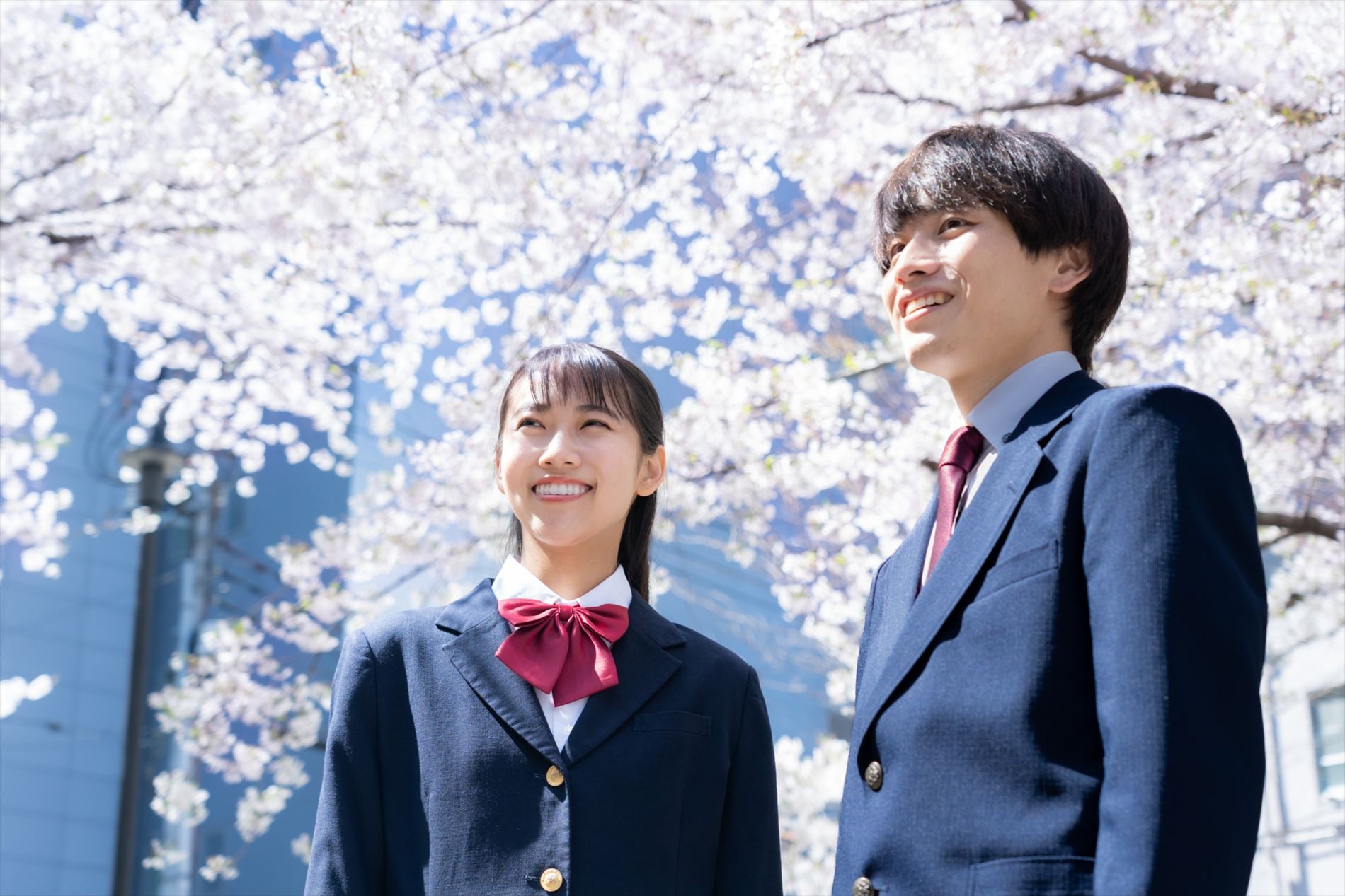 入学・卒業写真